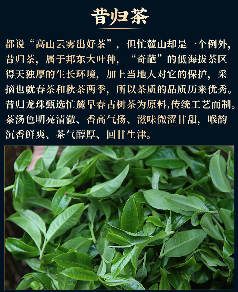 昔归普洱茶