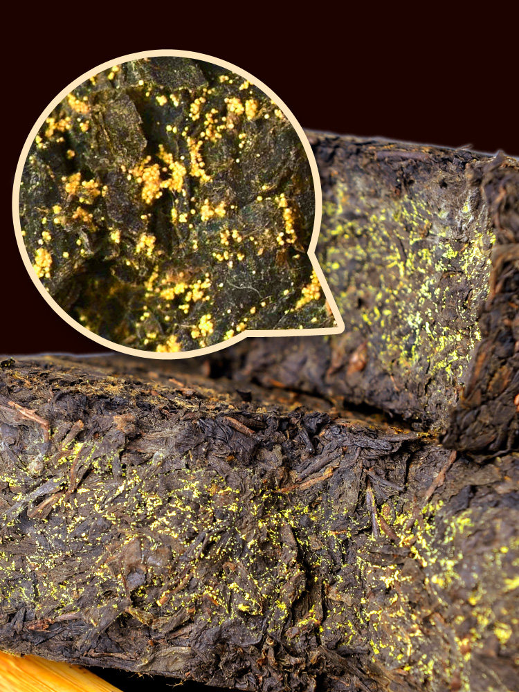 安化茯砖茶茶汤