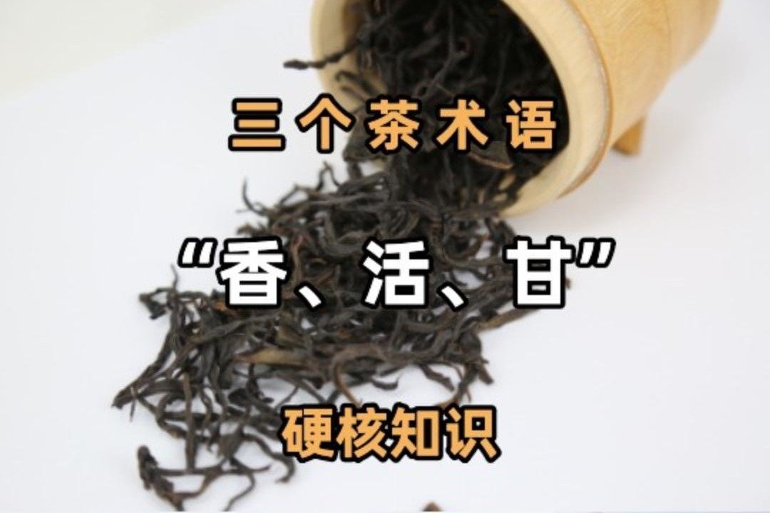 凤凰单丛茶汤