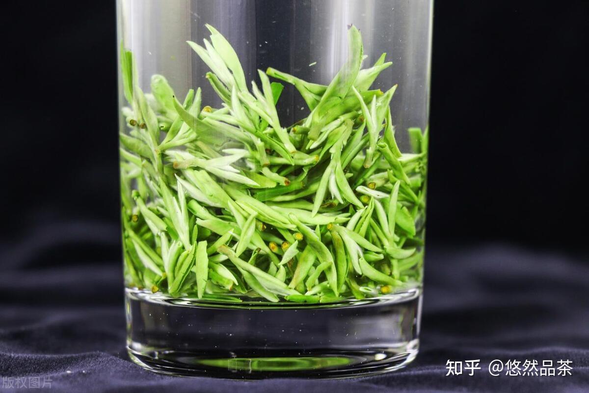 松峰绿茶茶汤