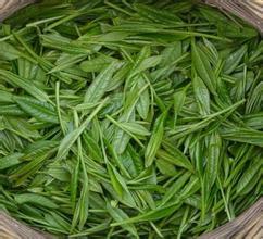 屯溪绿茶